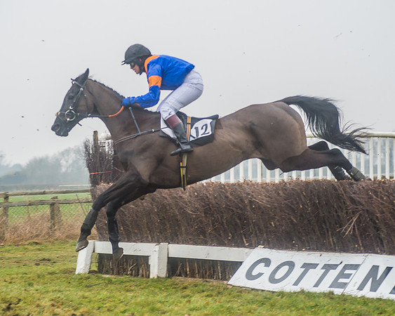 The Ladies Open Race-73