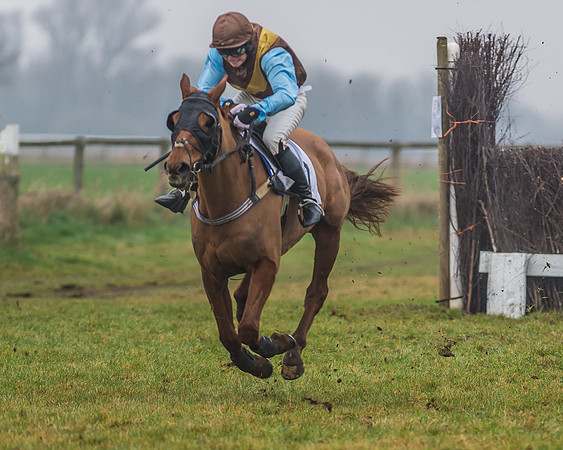 The Ladies Open Race-93