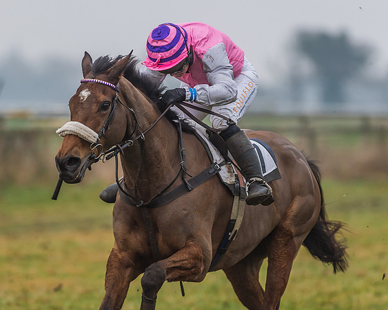 The Ladies Open Race-99
