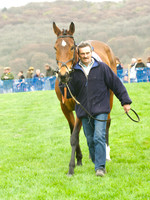 Race 3 - 4-5-6 Maiden 6