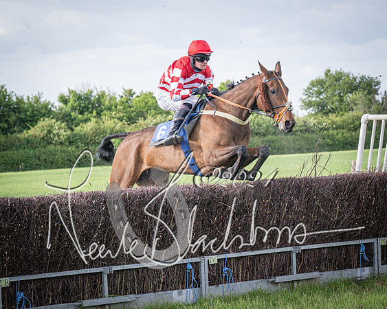 Race 6 - Thorn Plant Hire Maiden Race (75 of 129)