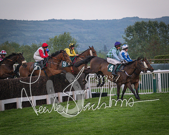 Race - 7 The Royal Gloucester Hussars Open Hunter's steeplechase 2m4f 127y (75 of 210)
