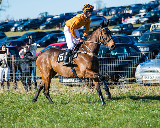 Race 6 - Restricted  (13 of 291)