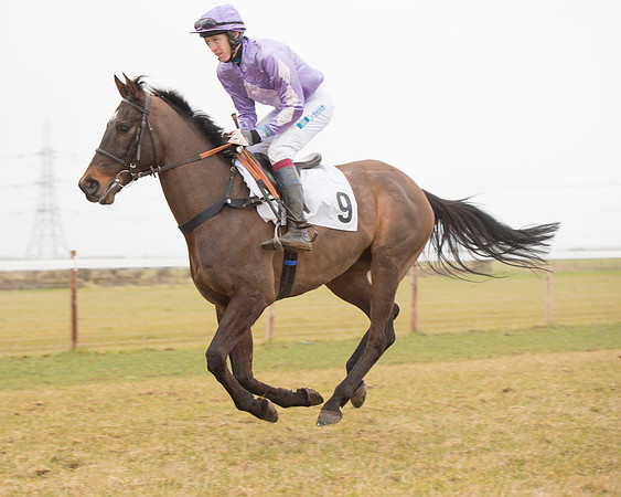Race 6 - Open Maiden (46 of 120).jpg