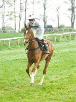 Old Berks at Lockinge PPORA novice and veteran riders race