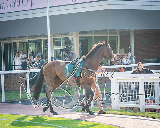 Race 4 - The Jonathan Neesom memorial open Hunter’s steeplechase 3m2f 70y (1 of 167)