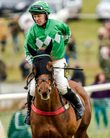 Race 1 - Young Horse Maiden (4 of 61)