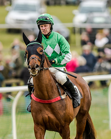 Race 1 - Young Horse Maiden (3 of 61)