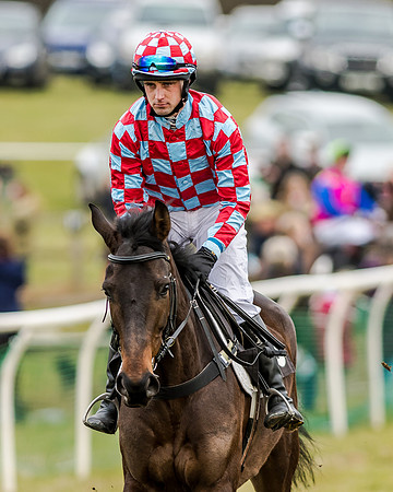 Race 1 - Young Horse Maiden (5 of 61)