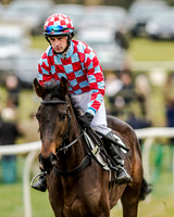 Race 1 - Young Horse Maiden (6 of 61)
