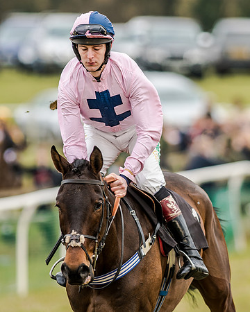 Race 1 - Young Horse Maiden (7 of 61)