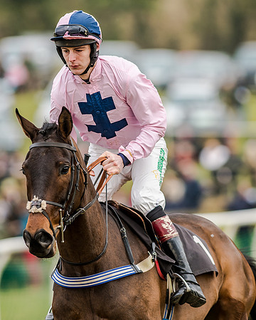 Race 1 - Young Horse Maiden (8 of 61)