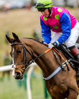 Race 1 - Young Horse Maiden (9 of 61)