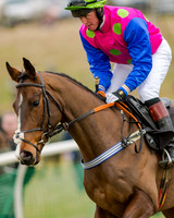 Race 1 - Young Horse Maiden (10 of 61)