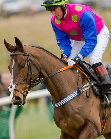 Race 1 - Young Horse Maiden (10 of 61)