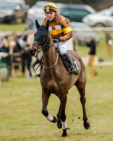 Race 1 - Young Horse Maiden (11 of 61)