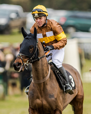 Race 1 - Young Horse Maiden (12 of 61)