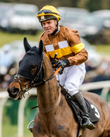 Race 1 - Young Horse Maiden (13 of 61)