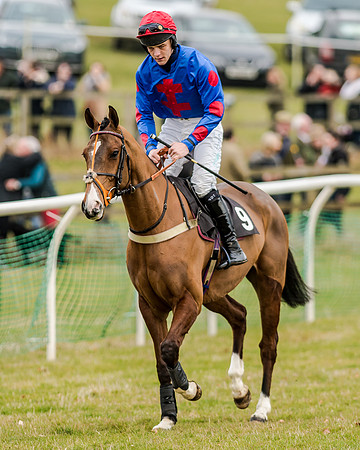 Race 1 - Young Horse Maiden (14 of 61)