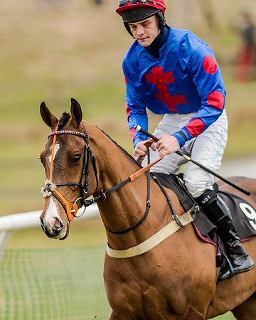 Race 1 - Young Horse Maiden (15 of 61)