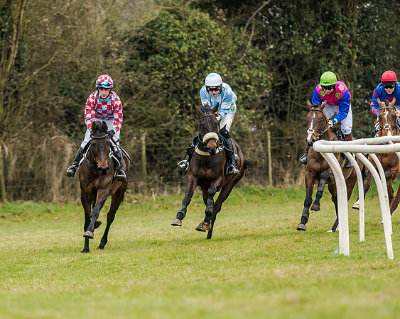 Race 1 - Young Horse Maiden (16 of 61)