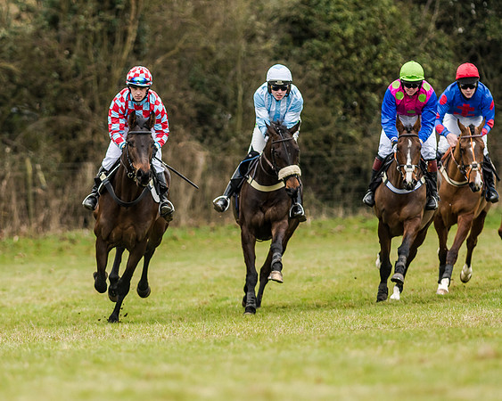 Race 1 - Young Horse Maiden (18 of 61)