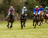 Race 1 - Young Horse Maiden (19 of 61)