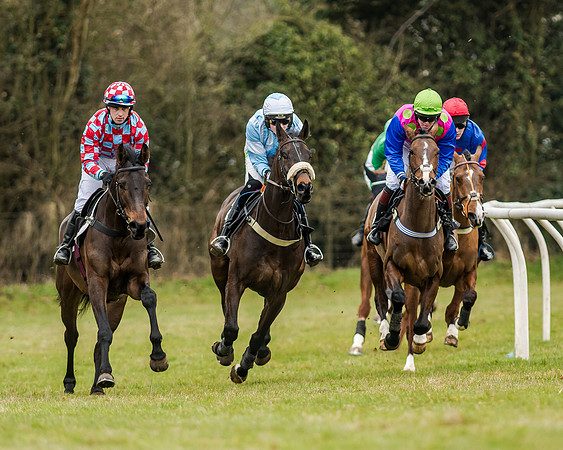 Race 1 - Young Horse Maiden (20 of 61)