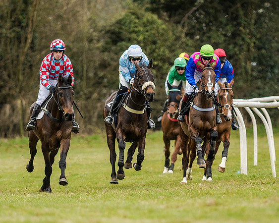 Race 1 - Young Horse Maiden (21 of 61)