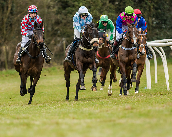 Race 1 - Young Horse Maiden (22 of 61)