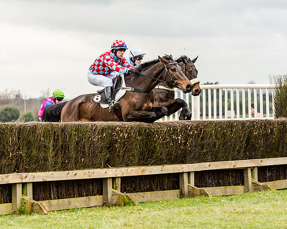 Race 1 - Young Horse Maiden (24 of 61)