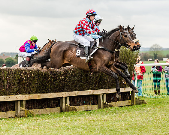 Race 1 - Young Horse Maiden (26 of 61)