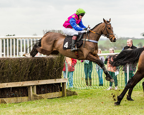 Race 1 - Young Horse Maiden (28 of 61)