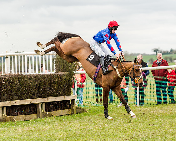 Race 1 - Young Horse Maiden (32 of 61)