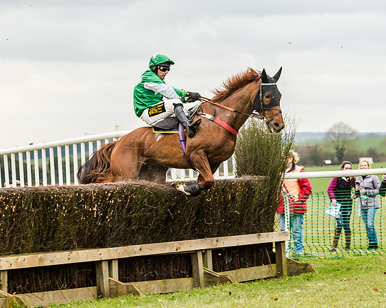 Race 1 - Young Horse Maiden (33 of 61)