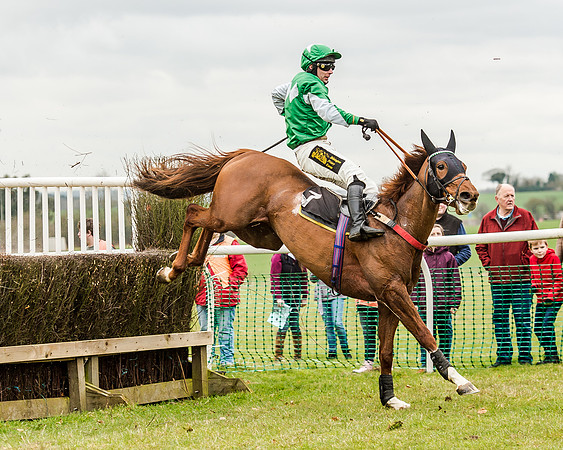 Race 1 - Young Horse Maiden (36 of 61)
