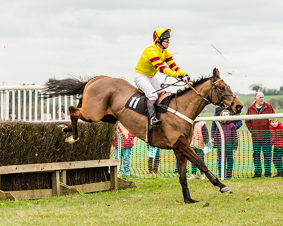 Race 1 - Young Horse Maiden (38 of 61)