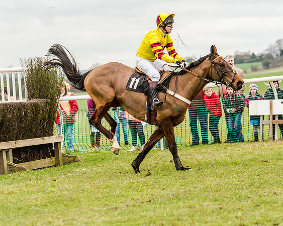 Race 1 - Young Horse Maiden (39 of 61)