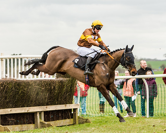 Race 1 - Young Horse Maiden (40 of 61)