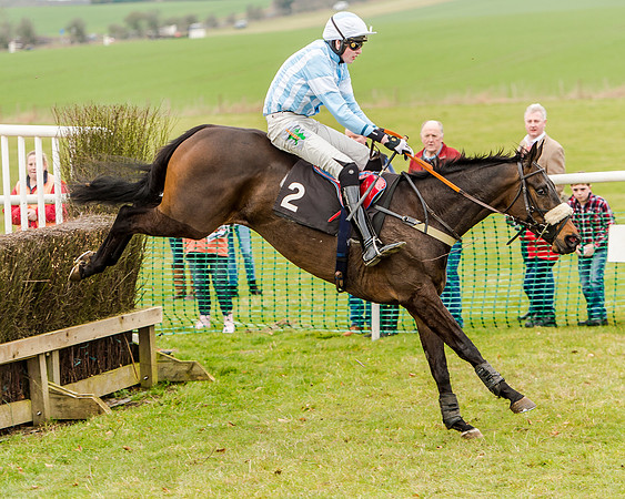 Race 1 - Young Horse Maiden (46 of 61)