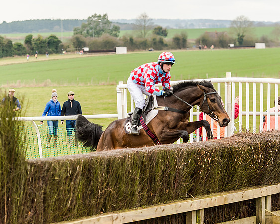 Race 1 - Young Horse Maiden (54 of 61)