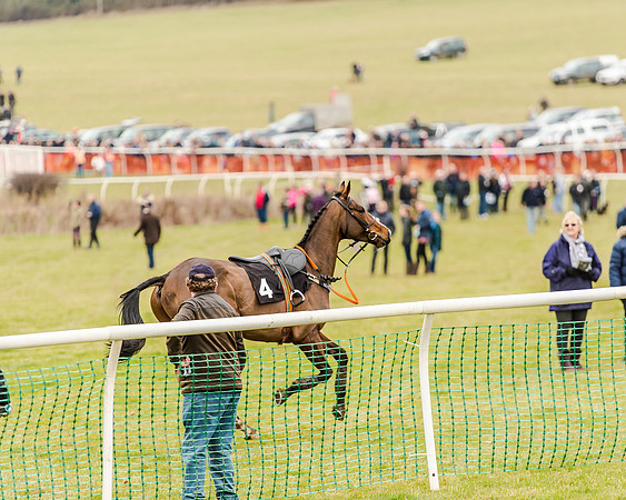 Race 1 - Young Horse Maiden (58 of 61)