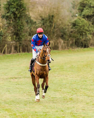 Race 1 - Young Horse Maiden (59 of 61)