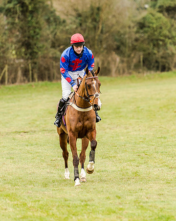 Race 1 - Young Horse Maiden (60 of 61)