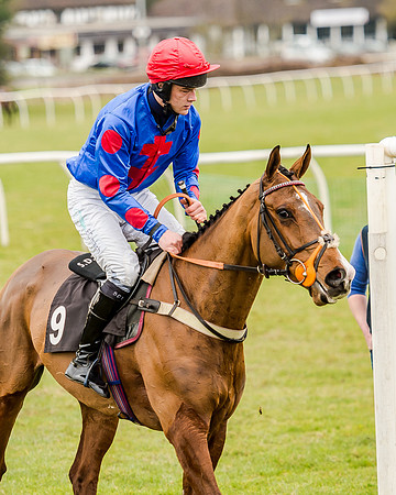 Race 1 - Young Horse Maiden (61 of 61)