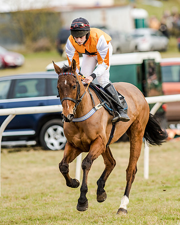 Race 5 - SEHC Members Conditions  (7 of 129)