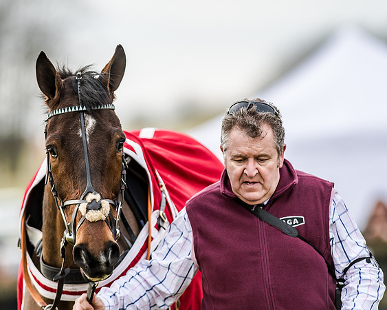 Race 6 - Open Maiden (9 of 103)