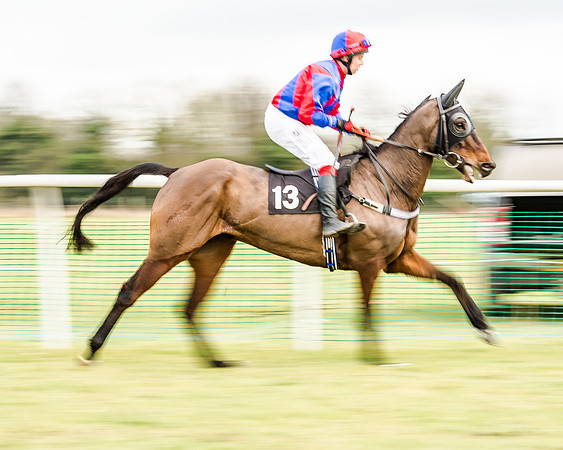 Race 6 - Open Maiden (26 of 103)