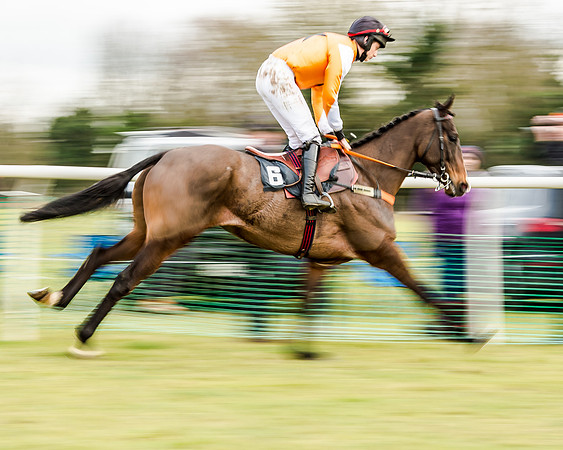 Race 6 - Open Maiden (27 of 103)