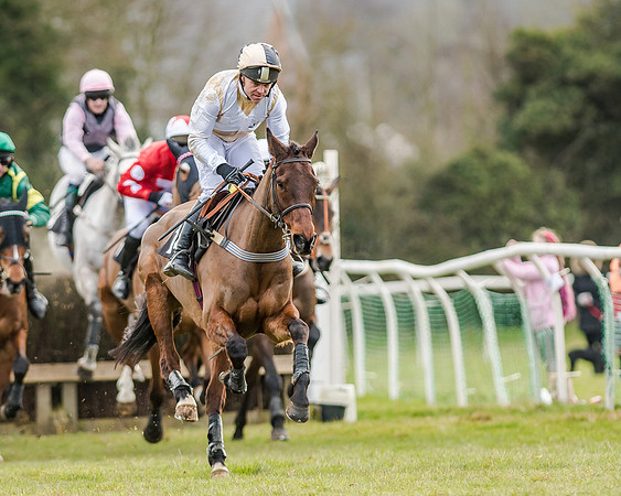 Race 6 - Open Maiden (60 of 103)